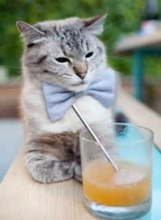 中国篮球市场年度消费报告发布，激发行业新动力，中国篮球产业产值