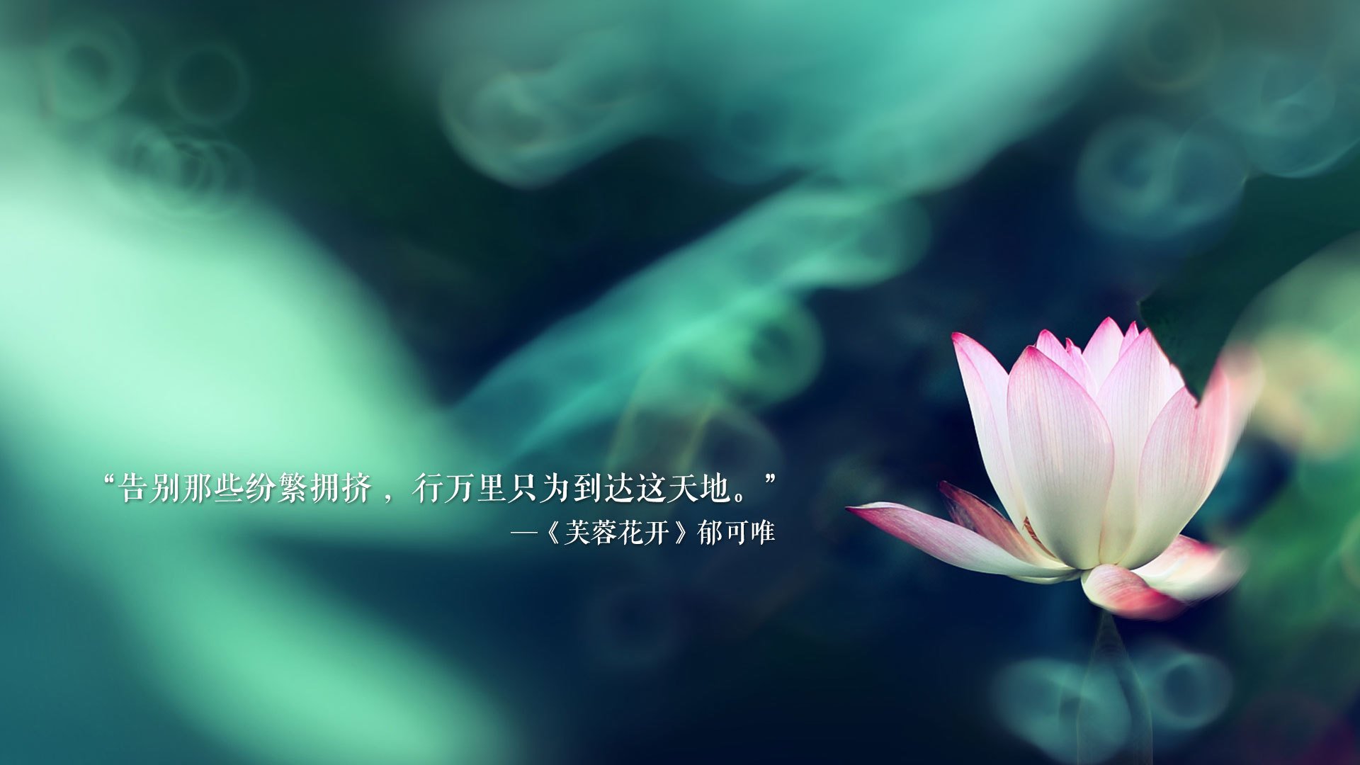kaiyun中国官方网站-“凯尔特人主帅战术调整，助球队晋级季后赛”，凯尔特人主帅真帅