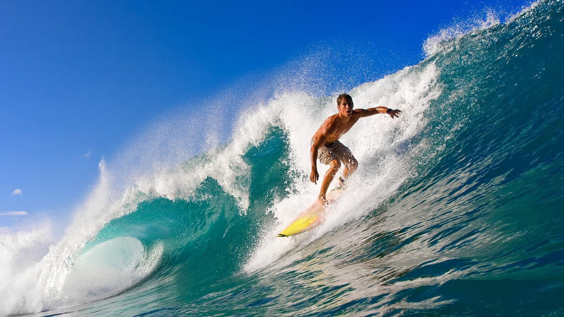 kaiyun开云·官方网站-德甲焦点战：多特蒙德与拜仁慕尼黑激战成和